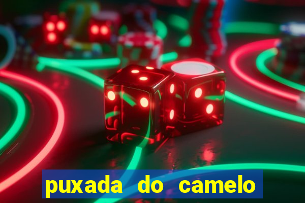 puxada do camelo jogo do bicho